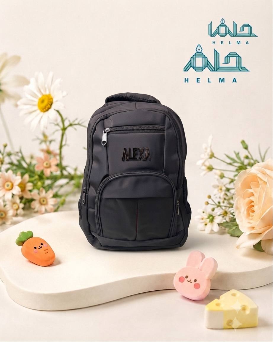کولهپشتی اسپرت ALEXA (الکسا) – مدل دو جیب جلویی